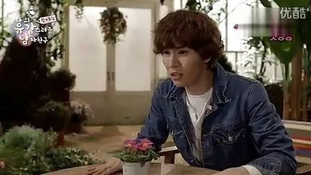 韓劇里的多肉植物在中國坐了過山車，這行水有多深？