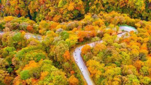 漢中龍頭山風景圖片_漢中龍頭山是什么山脈_漢中龍頭山旅游攻略