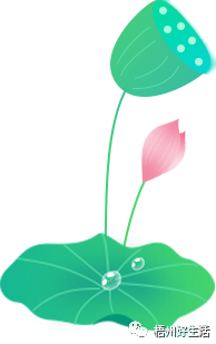 幽靈火箭觀賞魚介紹_幽靈火箭魚多少錢一條_觀賞魚幽靈火箭