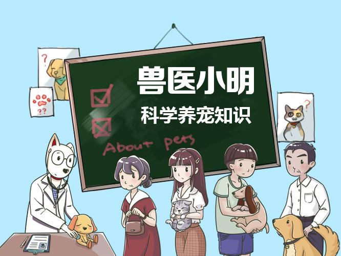 狗狗體溫、心率和呼吸頻率有異？這些小知識你知道嗎？