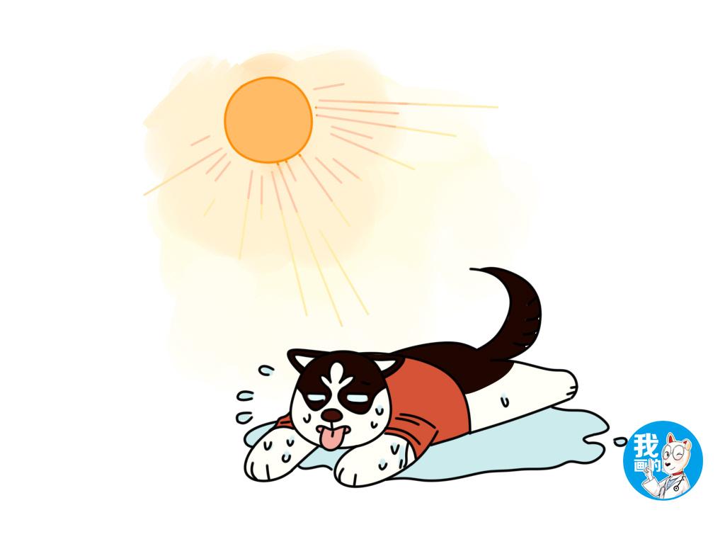 狗狗發(fā)燒判斷病情_狗狗發(fā)燒判斷是否感冒_怎么判斷狗狗發(fā)燒