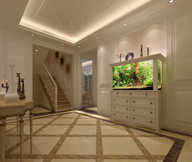 魚缸養殖的觀賞魚_魚缸養殖觀賞魚應該注意哪些_觀賞魚缸養魚注意事項