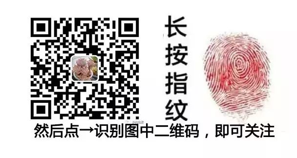 植物多肉大概多長時間澆一次水_多肉植物 大_植物多肉大全圖片