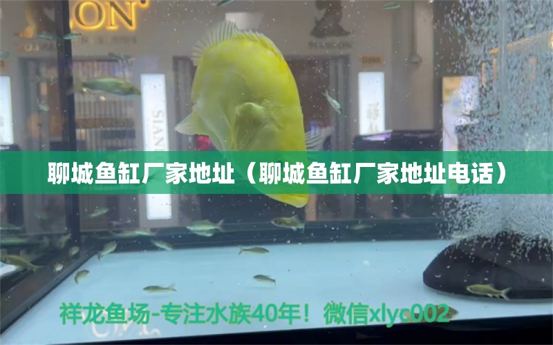 聊城魚缸廠家地址（聊城魚缸廠家地址電話）