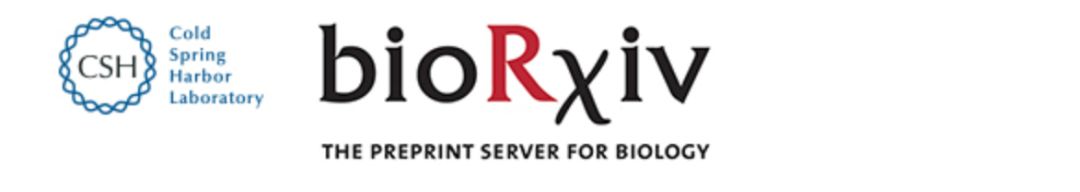 狗狗八歲相當于人幾歲_狗狗人工授精的正確方法和步驟_狗狗人生模擬器