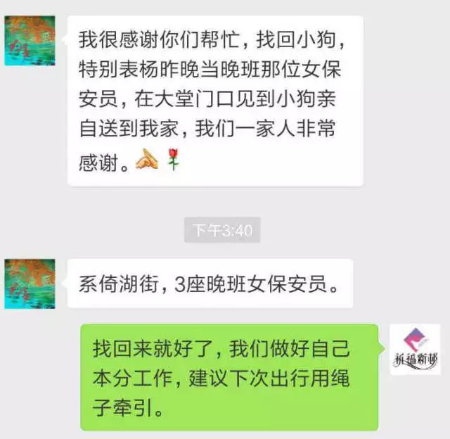 狗市京巴犬_百度京巴犬_京巴犬多少錢一只