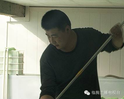 上海哪里可以買觀賞魚_上海買魚的地方_上海買海水魚