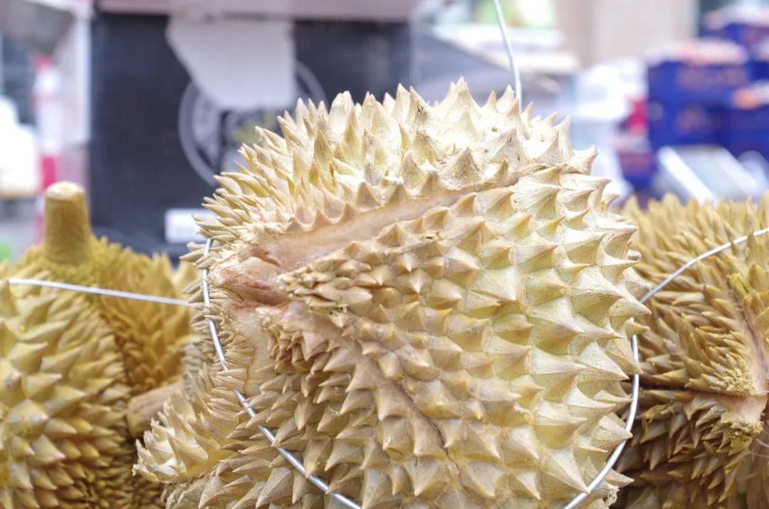 觀賞魚批發市場進貨_哪里可以批發觀賞魚_批發觀賞魚可以買嗎