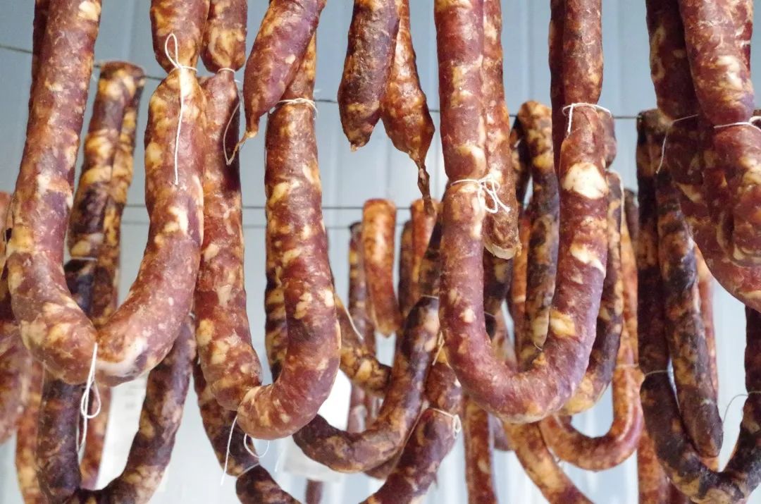 觀賞魚批發市場進貨_哪里可以批發觀賞魚_批發觀賞魚可以買嗎