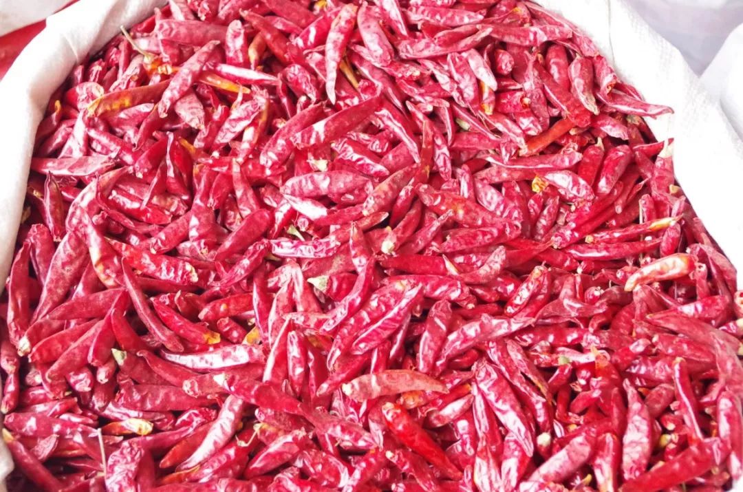 觀賞魚批發市場進貨_哪里可以批發觀賞魚_批發觀賞魚可以買嗎