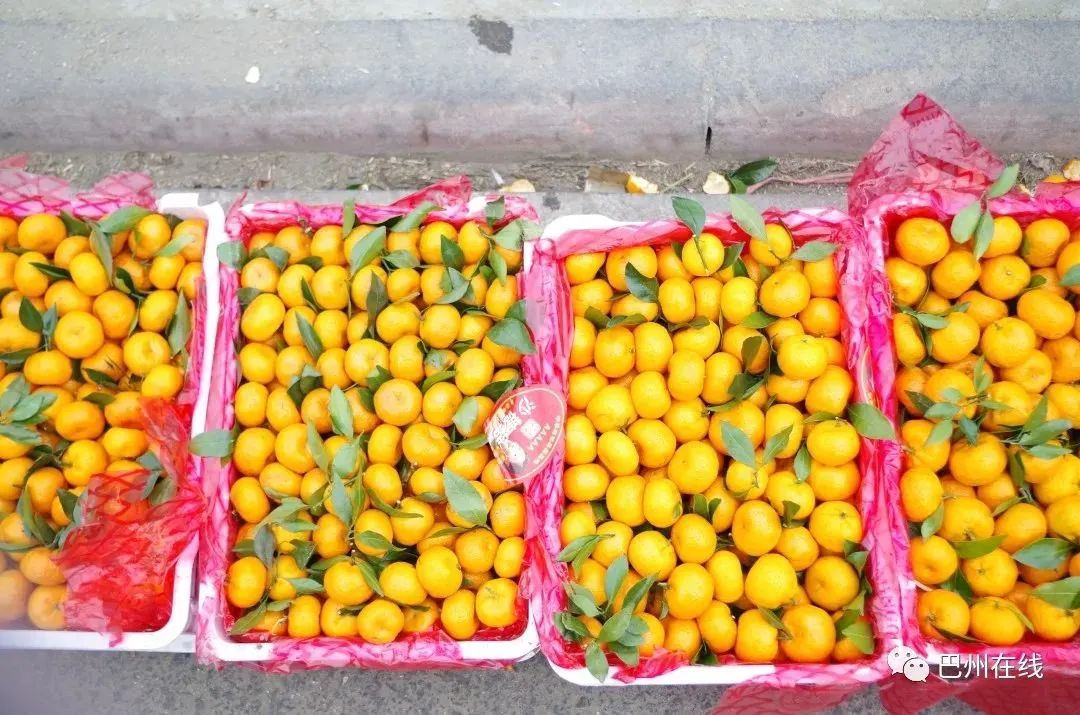 觀賞魚批發市場進貨_哪里可以批發觀賞魚_批發觀賞魚可以買嗎